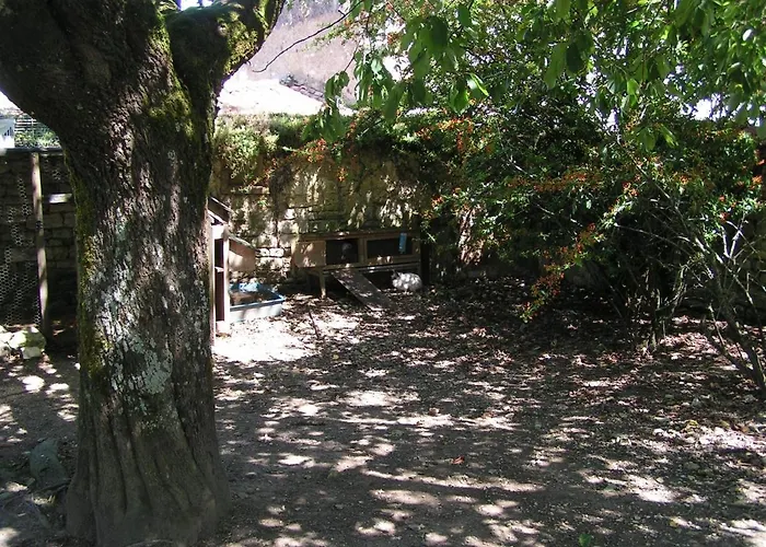 Columba - Les Constellations Doeuil-sur-le-Mignon